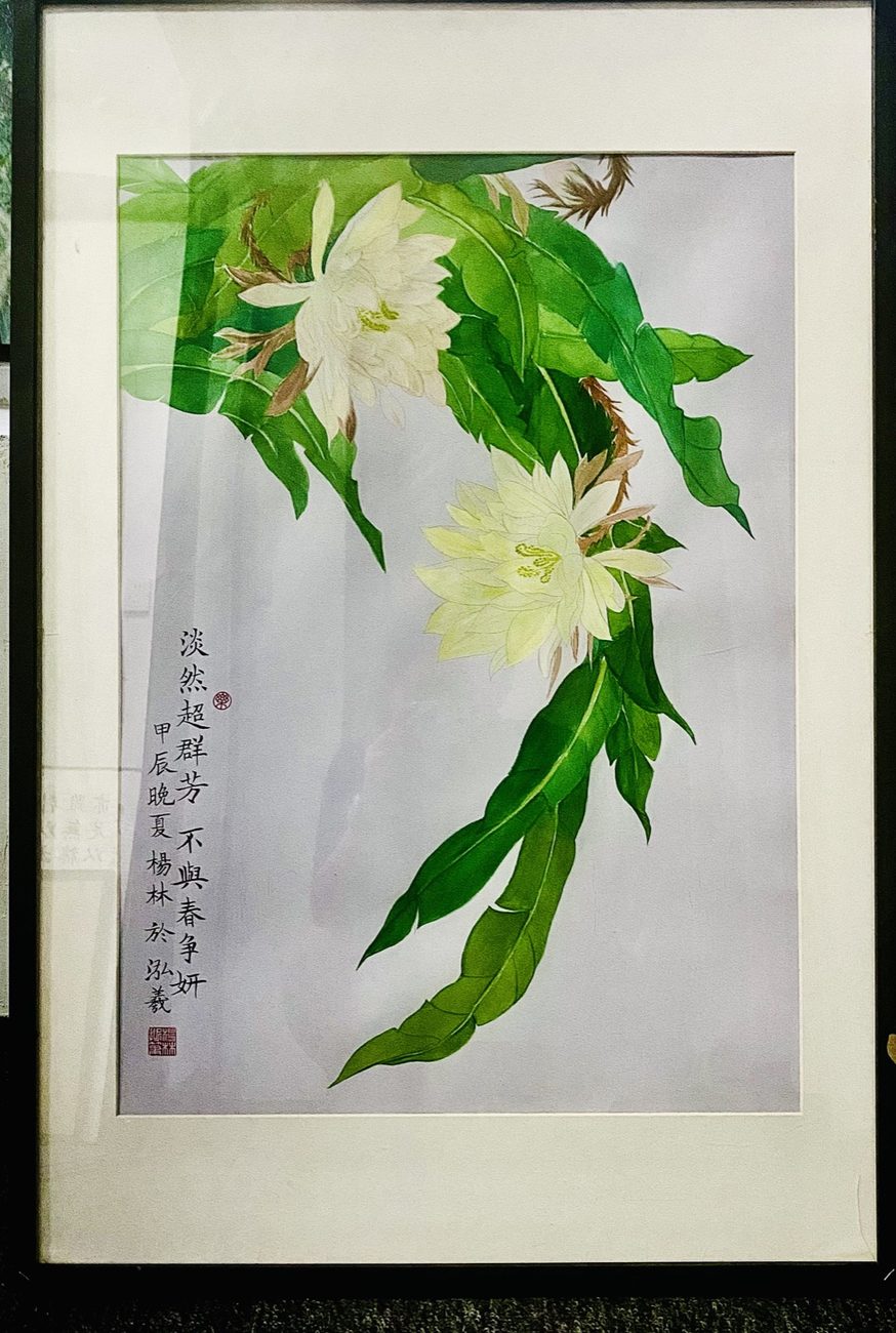 没骨 · 昙花 纸本设色